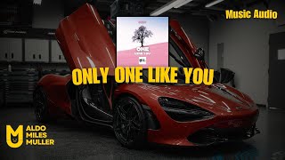 ONLY ONE LIKE YOU