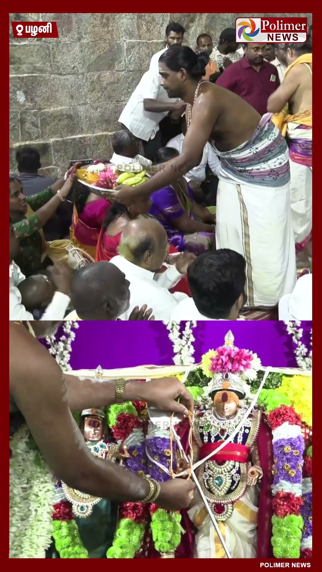 பழனி முருகன் கோவில் தைப்பூச திருவிழாவை முன்னிட்டு திருக்கல்யாண நிகழ்ச்சி..  #shorts | #pazhani