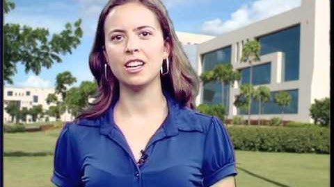 InStep internship is not just about work