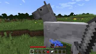 : Minecraft