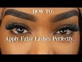 How to: Easiest way to apply false lashes on VERY curly lashes *BEGINNER FRIENDLY*