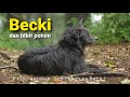 Film pendek keseharian Becki