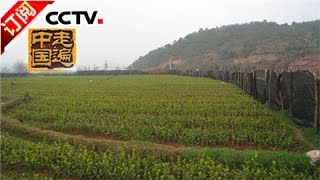 [Across China] 20170301 | CCTV-4