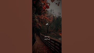 #القرآن_الكريم #فلسطين #سورة_السجدة #ياسر_الدوسري