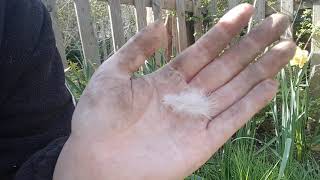 ASMR SoftTalk - Morning Relaxation Nature & SoftTalk - 444 Numerology ☆ Gentle Male Voice screenshot 2