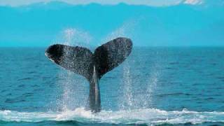 Windows Vista Sample Pictures