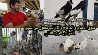 أسعار الحمام في سوق الحراش