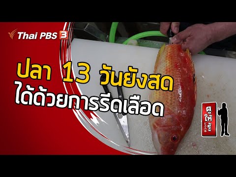 วีดีโอ: วิธีรักษาความสดของปลา