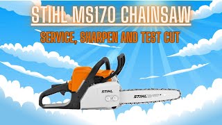 Stihl MS170 Chainsaw Service, Spark Arrestor Clean Out , And Chain Sharpen!
