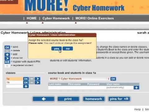 cyber homework english file