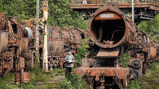 Lost Place: The remains of the WW2 REICHSBAHN fleet found in the woods (OVER 50 Steam TRAINS!!!)