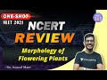 Morphology of flowering plants | NCERT Review | NEET 2021 | Dr. Anand Mani