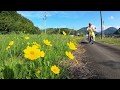 花を旅する / ホンダスーパーカブムービー