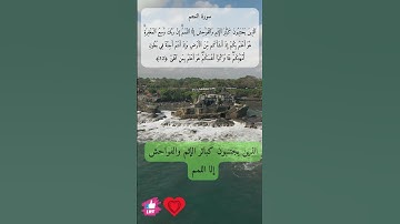 الذين يجتنبون كبائر الإثم والفواحش إلا اللمم | سورة النجم #دعاء_ورسالة