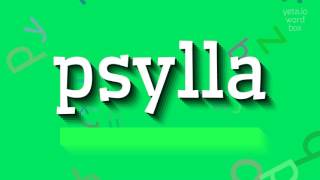 Psylla - How To Say Psylla?
