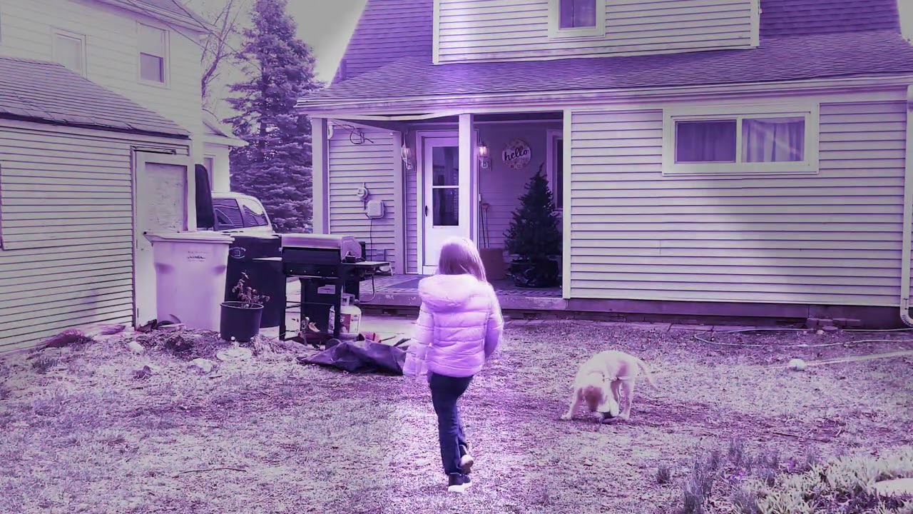 My little puppy princess