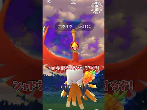 【シャドウホウオウGETなるか？！】#ポケモンgo  #ポケモン #Pokémongo #Pokémon #shorts #おもしろ動画 #ゲーム実況 #シャドウ #伝説 #レイド #ポケカ #アプリ