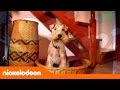 Crianças Assistem à Nick 1 2005 Clássicos Nick Nickelodeon Em Português 