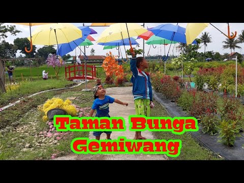  Taman  Bunga  Gemiwang Banjarnegara  YouTube