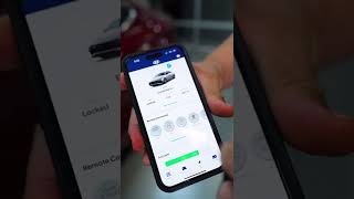 Control Your Hyundai With The BluLink App! #shorts #foryou screenshot 3