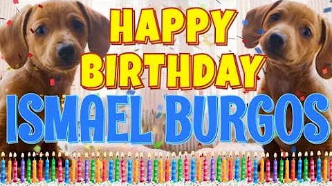 Happy Birthday Ismael Burgos! ( Funny Talking Dogs...