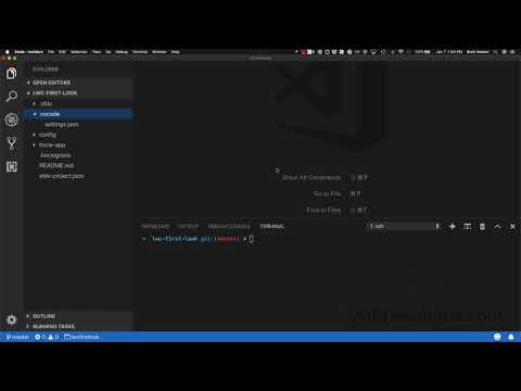 SFDX VSCode Build Command