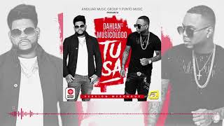 DAHIAN EL APECHAO FT. MUSICOLOGO - TUSA [AUDIO VIDEO] 2020