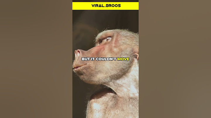 Monkey Head Transplantation Explained!