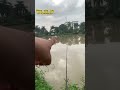 Lưỡi câu lục ( buổi câu cá bềnh phòi phao )
