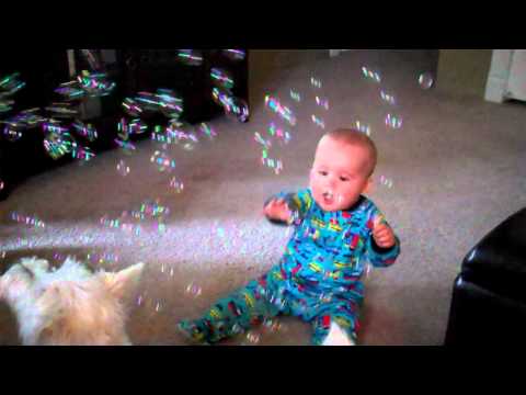 Baby Laughing At Dog Eating Bubbles Baby Laughing At Dog Eating Bubbles