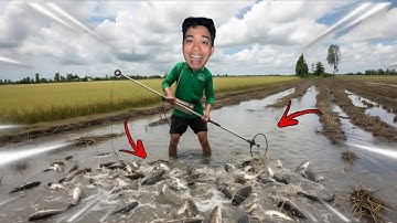 1 Ngày Đi Kích Cá Mùa Nước Nổi Và Cái Kết Bất Ngờ