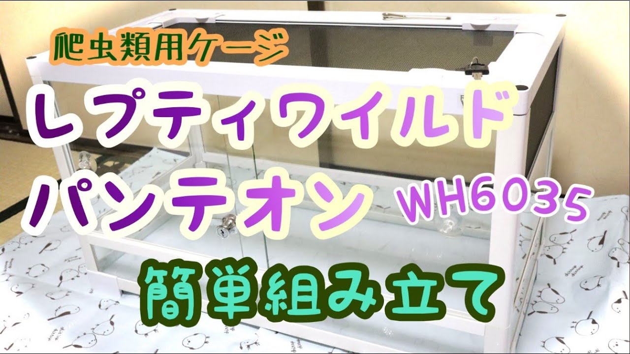爬虫類用ケージ】SANKOパンテオンWH6035ケージを組み立ててみた - YouTube