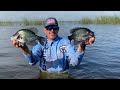 WADE Fishing for GIANT Black CRAPPIE Catch Clean & Cook