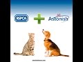 Astonish raises 10000 for the rspca