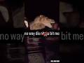 Man Bitten on the Head by a Camel at House Party in Colorado #AnimalAttack #Keenesburg #Denver