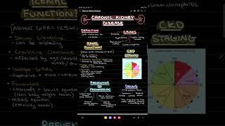 How to Export Your Notes | Samsung Notes Tutorial Series