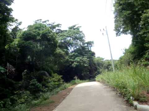 Jungle Trek to Rantee Beach - Ko Phi Phi