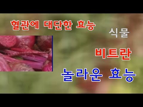 비트 놀라운 효능