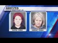 Woman sentenced in relation to animal cruelty case