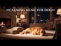 12 hours of Relaxing Dog Music : Soothe Your Anxious Pup with These Calming Sounds for Sleep 🐕