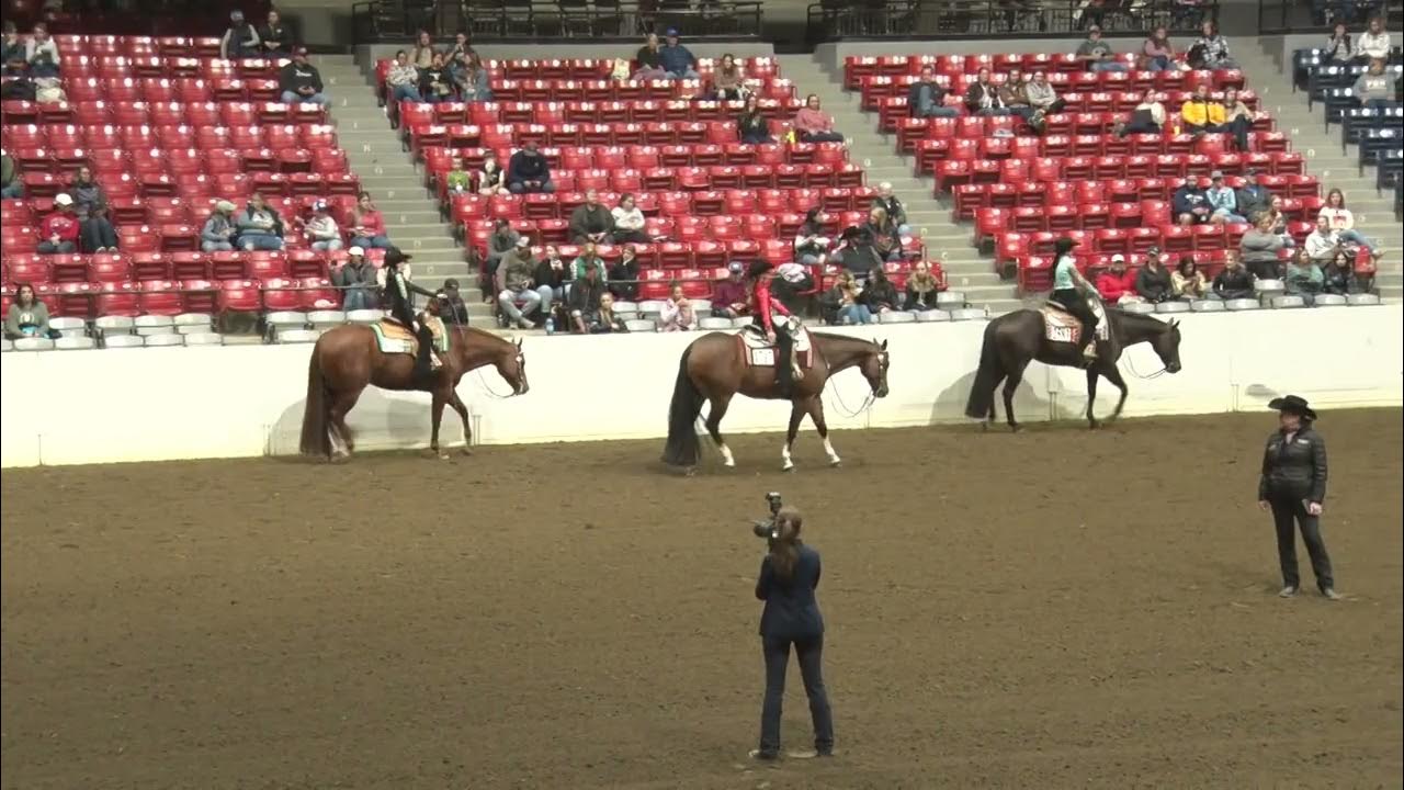 2022 Quarter Horse Congress NYATT Western Pleasure Finals YouTube