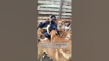 Use my PayPal link in bio to donate 🙏😔