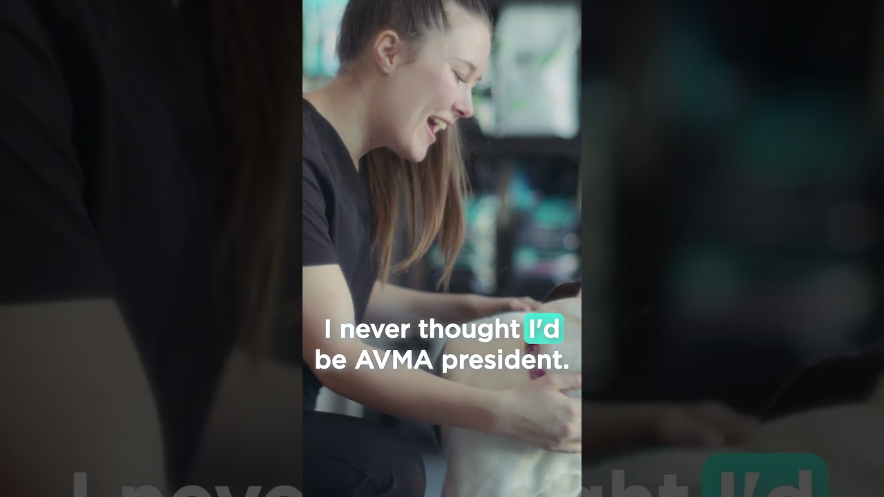 Leadership, Mentoring and Culture: Advancing Careers in Veterinary Medicine