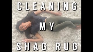 HOW I CLEANED MY WHITE 3 INCH SHAG RUG