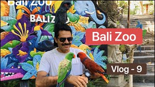 Bali Zoo , Chat with Orangutan