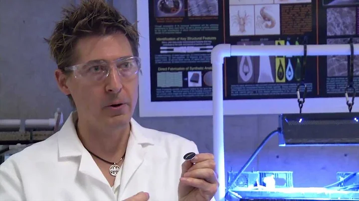 Using Snail Teeth to Improve Solar Cells and Batte...