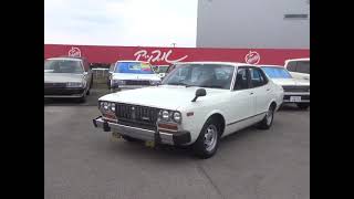 Bluebird 810 - Early model? Mid-model? Z18 engine fitted