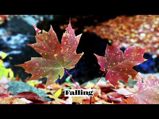 Watch MAVENNE - Falling on YouTube Watch MAVENNE - Falling on YouTube