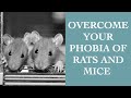 Simple Tips To Overcome Your Phobia Of Rats And Mice (Musophobia) I The Speakmans