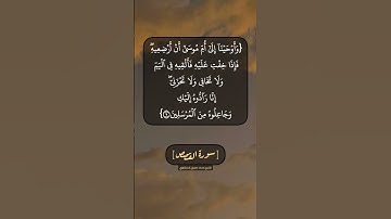 سورة القصص الآية ٥ الى ٧ بصوت الشيخ محمد صديق المنشاوي